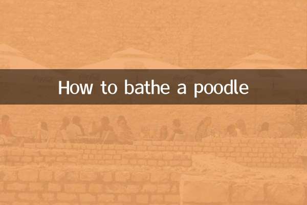 पूडल को कैसे नहलाएं