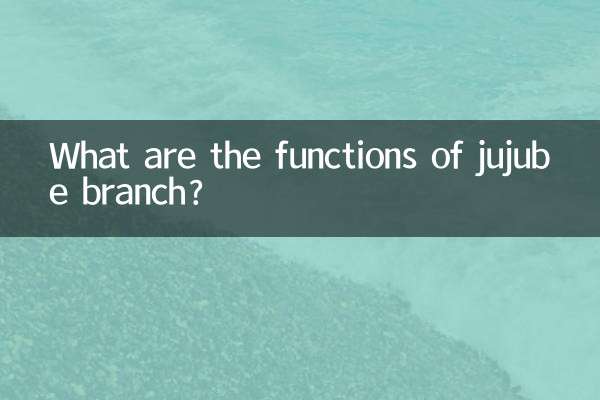 وظایف شاخه عناب چیست؟