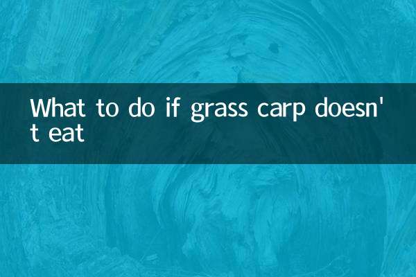 What to do if grass carp doesn't eat