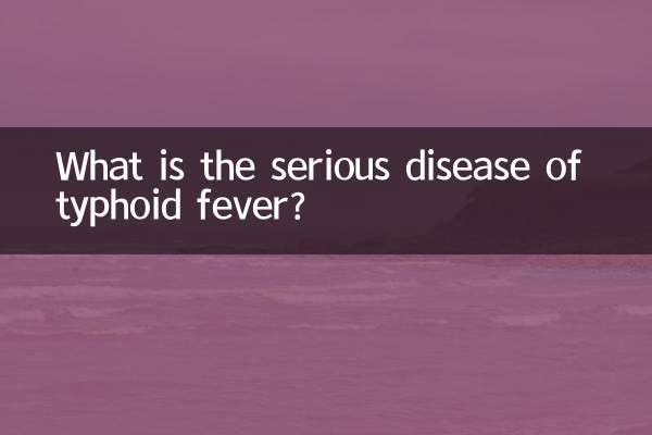 Was ist die schwerwiegende Erkrankung des Typhus -Fiebers?