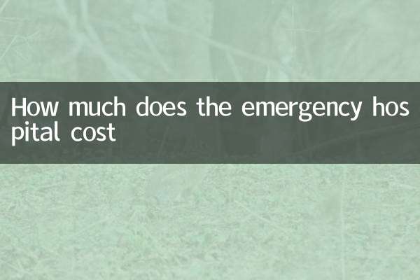 Quanto costa l'ospedale di emergenza