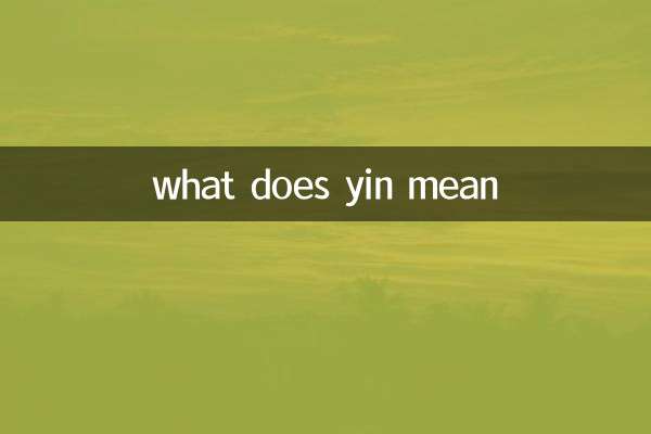 o que significa yin
