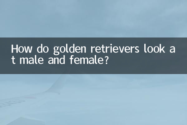 ¿Cómo ven los golden retrievers a hombres y mujeres?