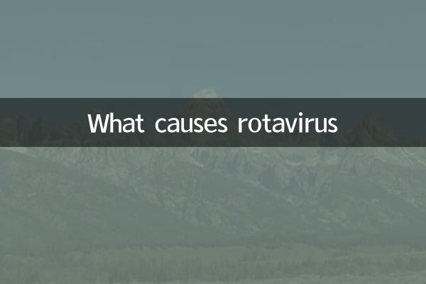¿Qué causa el rotavirus?