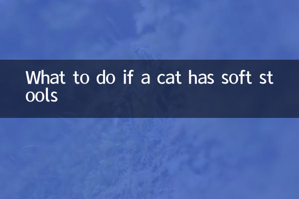 Cosa fare se il gatto ha feci molli?