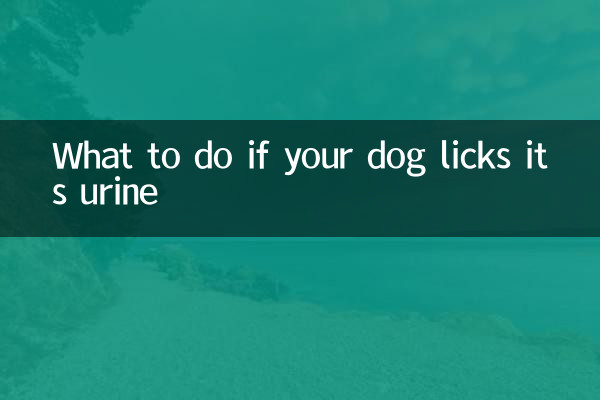 What to do if your dog licks its urine