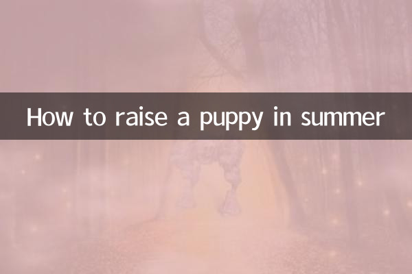 Wie man einen Welpen im Sommer großzieht