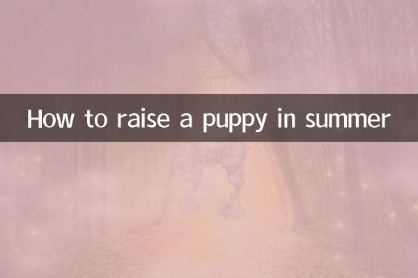 夏に子犬を育てる方法