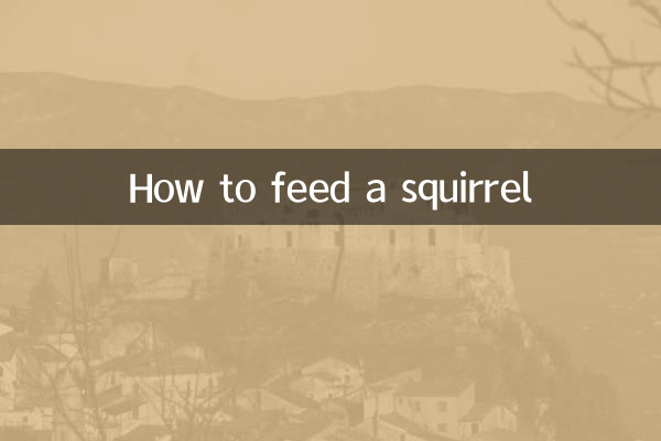 Cómo alimentar a una ardilla