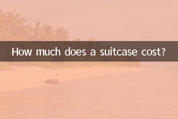 How much does a suitcase cost?