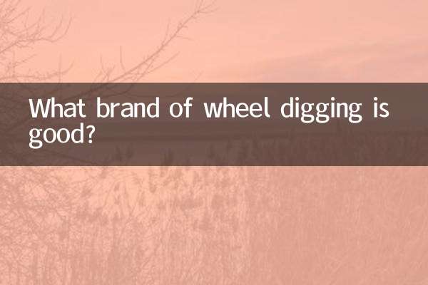 Quale marca di ruote da scavo è buona?