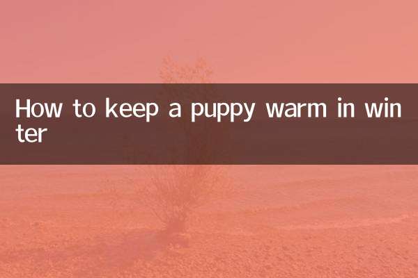 सर्दियों में पिल्ले को गर्म कैसे रखें?