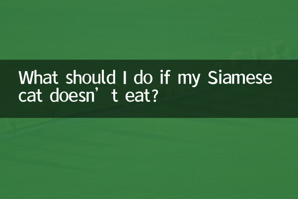 আমার সিয়ামিজ বিড়াল না খেয়ে থাকলে আমার কী করা উচিত?
