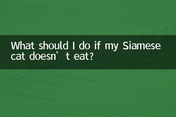 What should I do if my Siamese cat doesn’t eat?