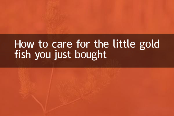 買ったばかりの小さな金魚の飼い方