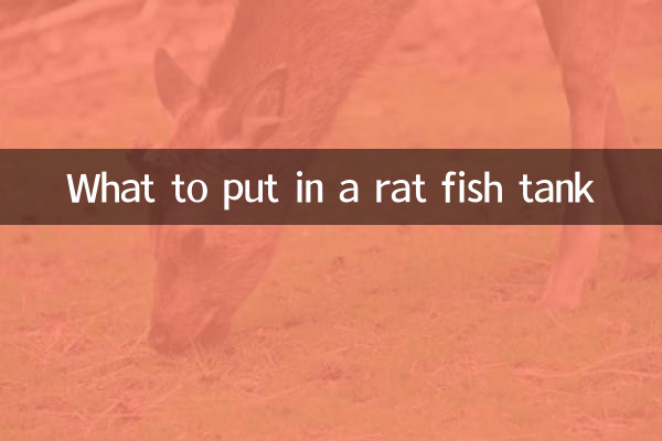 属鼠鱼缸摆放什么