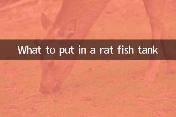 属鼠鱼缸摆放什么