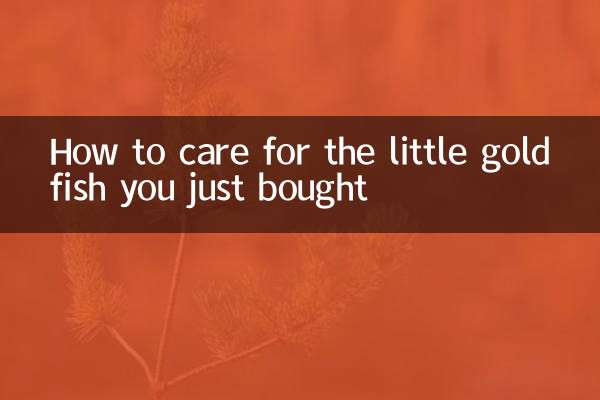 買ったばかりの小さな金魚の飼い方