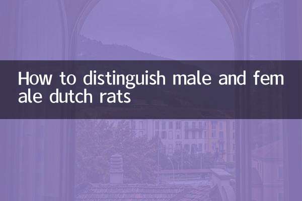 কিভাবে পুরুষ এবং মহিলা ডাচ ইঁদুরের মধ্যে পার্থক্য করা যায়