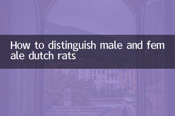 কিভাবে পুরুষ এবং মহিলা ডাচ ইঁদুরের মধ্যে পার্থক্য করা যায়