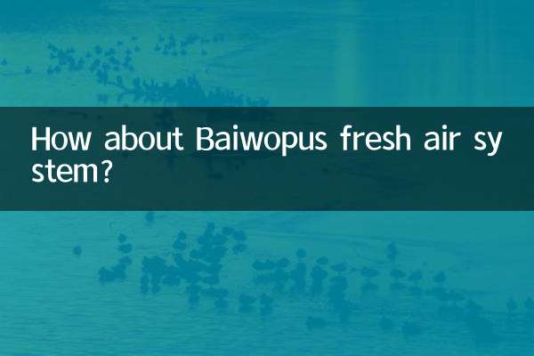 How about Baiwopus fresh air system?