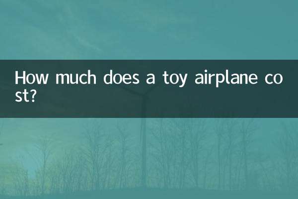 How much does a toy airplane cost?