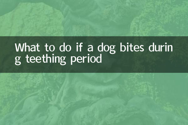 اگر سگ در طول دوره دندان درآوردن گاز گرفت چه باید کرد؟