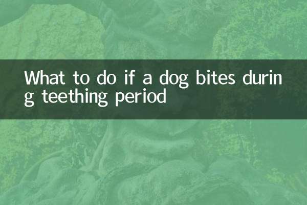 اگر سگ در طول دوره دندان درآوردن گاز گرفت چه باید کرد؟