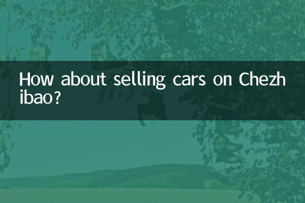 चेझीबाओ पर कारें बेचने के बारे में आपका क्या ख़याल है?