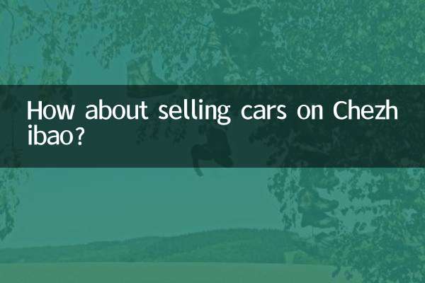 चेझीबाओ पर कारें बेचने के बारे में आपका क्या ख़याल है?
