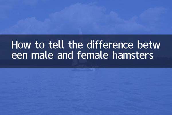 পুরুষ এবং মহিলা হ্যামস্টারের মধ্যে পার্থক্য কীভাবে বলবেন