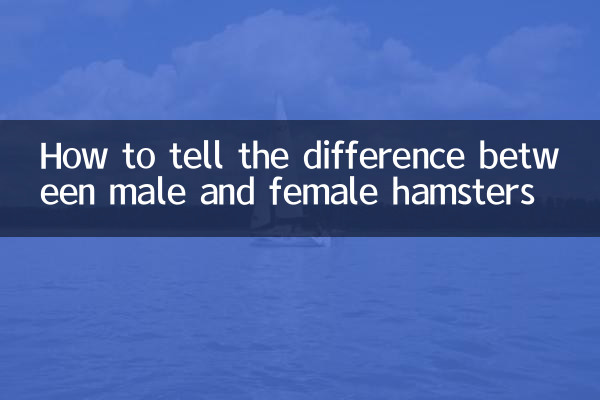পুরুষ এবং মহিলা হ্যামস্টারের মধ্যে পার্থক্য কীভাবে বলবেন