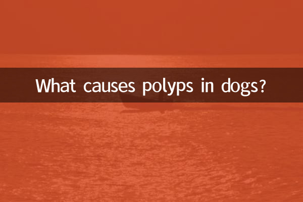 狗息肉怎麼引起的