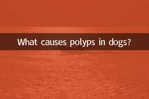 狗息肉怎麼引起的