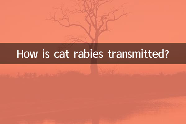 Comment se transmet la rage féline ?