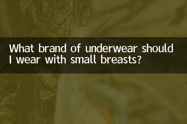¿Qué marca de ropa interior debo usar si tengo senos pequeños?
