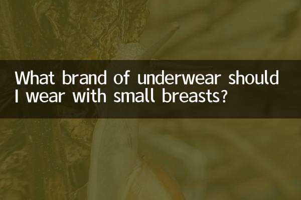 Que marca de roupa íntima devo usar com seios pequenos?