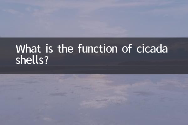 ما هي وظيفة قذائف الزيز؟