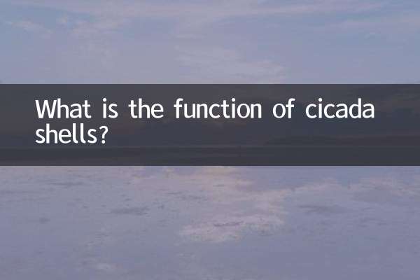 蝉壳有什么作用