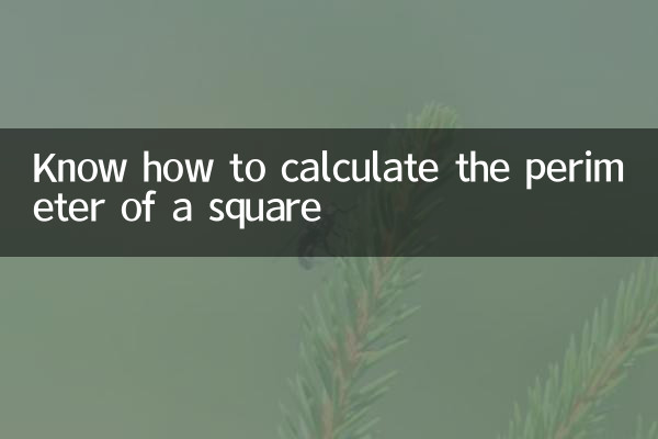 Saper calcolare il perimetro di un quadrato