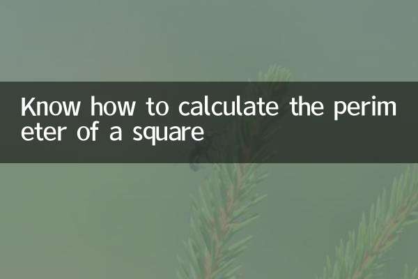 تعرف على كيفية حساب محيط المربع