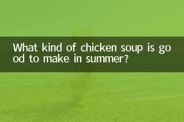 ¿Qué tipo de sopa de pollo es buena para hacer en verano?