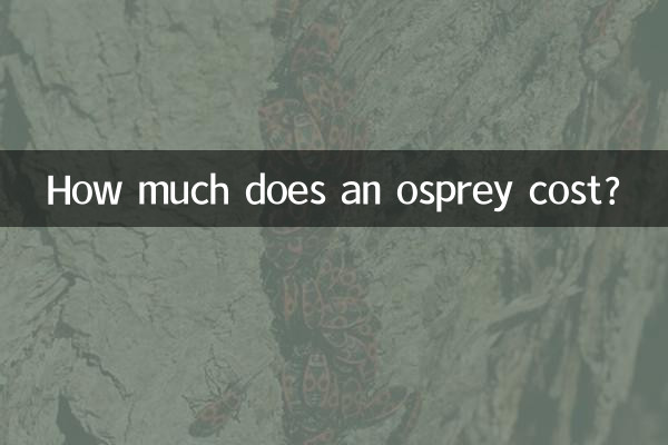 كم تكلفة العقاب؟