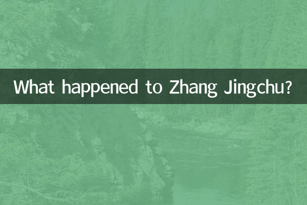 چه اتفاقی برای ژانگ جینگچو افتاد؟