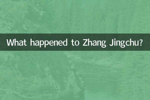 چه اتفاقی برای ژانگ جینگچو افتاد؟