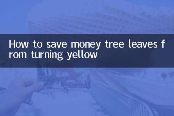 كيفية حفظ أوراق شجرة المال من التحول إلى اللون الأصفر