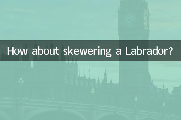 لیبراڈور کو اسکیور کرنے کے بارے میں کیا خیال ہے؟