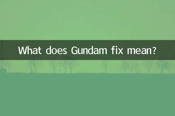 O que significa correção de Gundam?