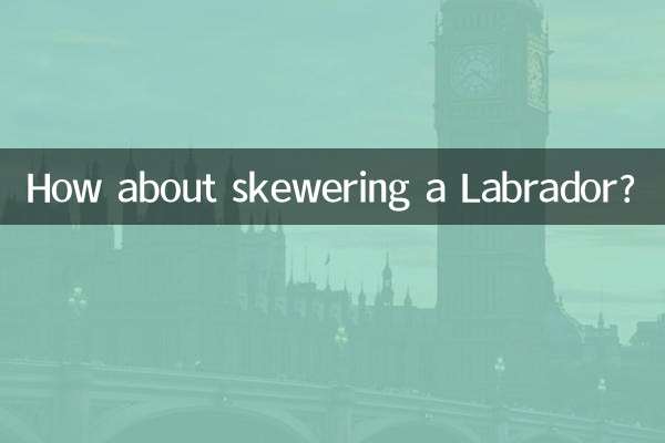 لیبراڈور کو اسکیور کرنے کے بارے میں کیا خیال ہے؟