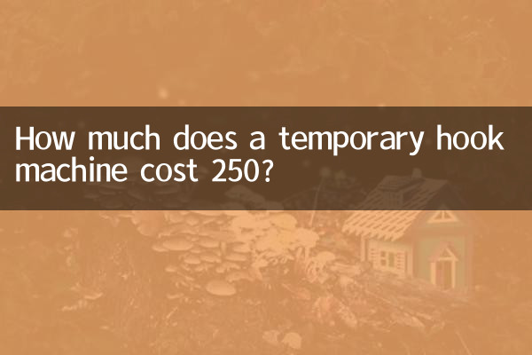 Wie viel kostet eine provisorische Hakenmaschine 250?